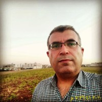 Ghadir Ali