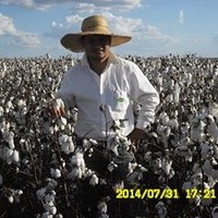 Ricardo Alves Custodio