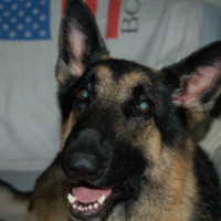 Allen Kincaid