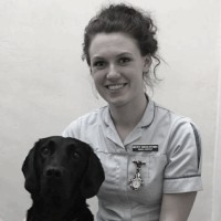 Rebecca Dixon-Stubbs