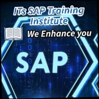 ITs SAP Training institute