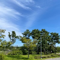 김지수