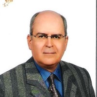 M. Ahmet Anadol