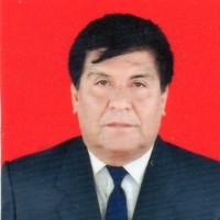 VITO MODESTO VARGAS RODRIGUEZ DAEN M.Sc. Ph.D.