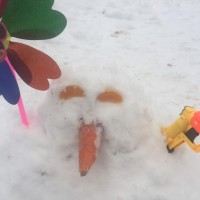 何飞龙