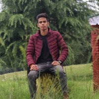 Mayank Kuwarbi