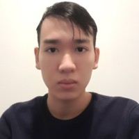 Hoai Minh Nguyen