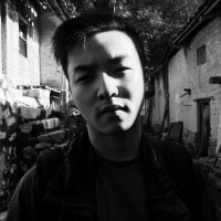 Qining Yang