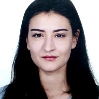Elif CETIN