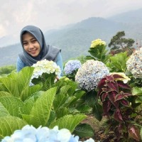 Desi Nur Indah Sari