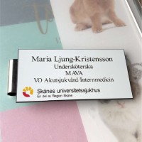 Maria Ljung-Kristensson