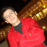 Andrés José Martínez Vergara