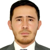 David Felipe Diaz Castro