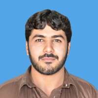 Veer Hussain Niazi