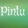 Pintu Ravi