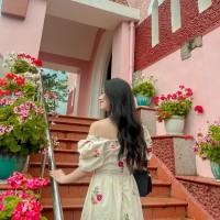Hoa Mai