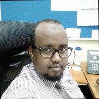 Ahmed  M. Hassan