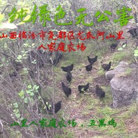 左卫民