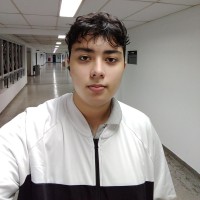 Matheus Fernandes Rodrigues