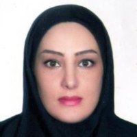 Shaghayegh Mohamadi