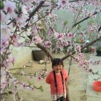徐英强