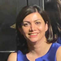 Negar Irani