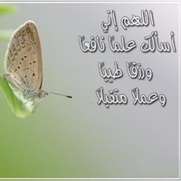 Nassra Al-Muslhi