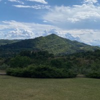 Kaesch Floh