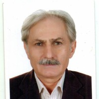 Mahmoud Seyed Jafari