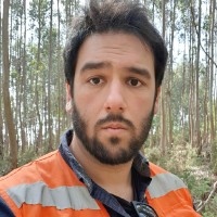 Filipe Louro