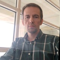 Ali Borhani