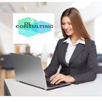 DL CONSULTING