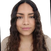 Leslye Fiorela Morales Ccancce