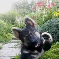 Катя Снега