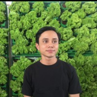 Alif Haikal Harun