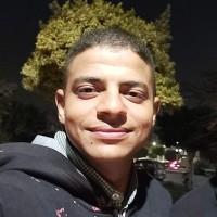 Abdelmoniem E.