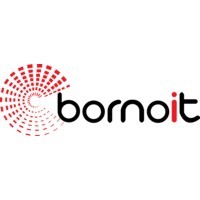 Borno IT