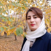 Nahid Zamani