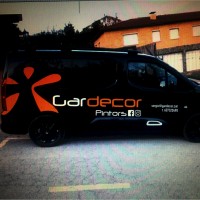 Sergio Gardecor Pintors