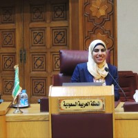 Nour Abou Elenin