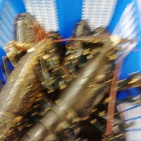 Daniel Martin Manchado