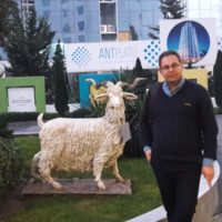 Eisa Yaaghoubi
