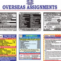 Assignment Abroad Times