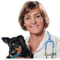 Susan Bohrer, DVM, CVA, CVFT