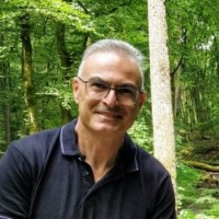 Tal Dekel