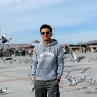 Hussein Ashour
