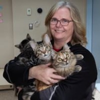 Liesje Somers-Blonde