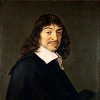 Michael raynaldi