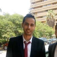 Mohamed Ahmed Elsayed