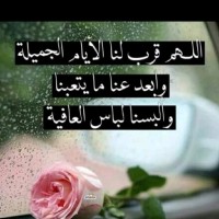 عبد المنعم الحميدي